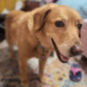 Meet your Posher, Katelynn